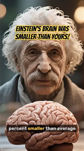Einstein’s Brain Was SMALLER Than Yours… Here’s Why He Was a Genius
