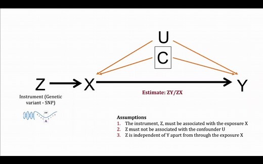 What is Mendelian Randomization？- 什么是孟德尔随机化？