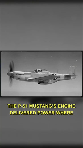 Japan's Airspace: How Mustangs Broke It
