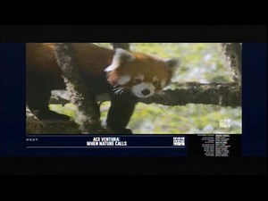 Ace Ventura: Pet Detective (1994) End Credits (BBC America 2025)