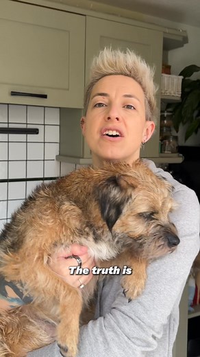 531K views · 820 reactions |  Switch to healthier meals in seconds! Just add water & serve. No mess, no stress. Order now and save 30% on your first box!  | Pure Pet Food | Facebook