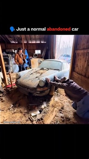 Just a normal abandoned car…☠️