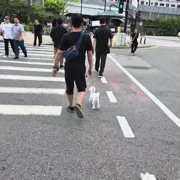 상권형성 4년차 신도시 택지지구 상가 현황 보고 겁도 없이 껄껄 부동산 호황기 끝물이었나 근데 또 사람이 많은거 같기도 하고 유동인구는 계속 주기적으로 있는거 같은데 잘 모르겠다