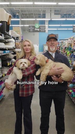 Rescue Efforts and Animal Advocacy in Pet Ownership