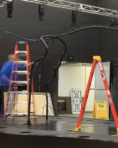 2.6K views · 39 reactions | Now open at Melbourne Museum, witness Victoria the T. rex come to life as our team meticulously assembles her skeleton! 練 Prepare to be awestruck by this incredible prehistoric giant, only at Melbourne Museum – the Home of Dinosaurs! Book today: https://museumsvictoria.com.au/melbournemuseum/whats-on/victoria-the-t-rex/ | Museums Victoria | Facebook