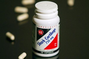 Shark Cartilage Supplements: Good or Bad? | Shark Allies