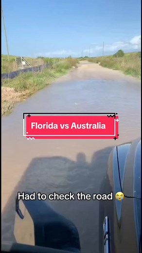 Florida vs. Australia: Wildlife Showdown!
