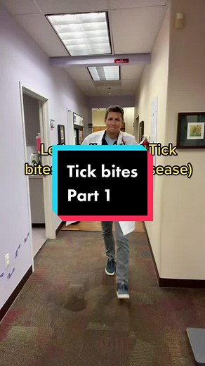 Tick Bites: Removing Ticks Safely and Effectively