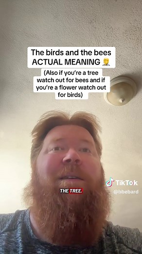 The Birds and The Bees: Actual Meaning Explained