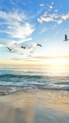 笑えるネタ集！面白い動画で爆笑しよう