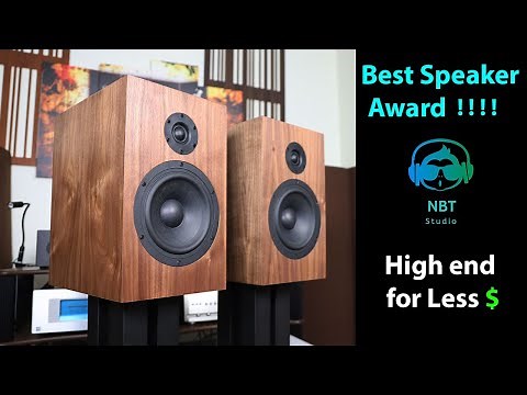 The Best Speaker Award - Css Audio Criton 1TD DIY speaker review !