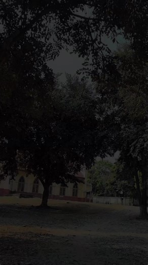 Join the Trend with TikTok Myanmar's Newest Vibes