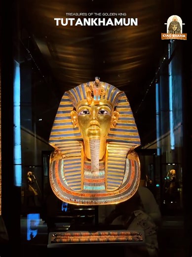✨ I tesori di Tutankhamon… la grandezza della storia al Grand Egyptian Museum ✨ La leggendaria maschera d’oro, i gioielli reali e i segreti di uno dei faraoni più famosi al mondo rivivono oggi nel Grande Museo Egizio, il più grande museo archeologico del pianeta 🏛️ 📍 Ciao Sharm Agenzia organizza escursioni giornaliere da Sharm El Sheikh al Cairo ✈️ Volo interno 🗺️ Programma organizzato 👨‍🏫 Guide professionali ✨ Per vivere da vicino la magia dell’antico Egitto 📲 Prenotazioni e info: WhatsAp