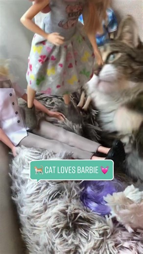 My cat’s 🐈 favorite toy is Barbie 💓 I don’t think she could be any cuter then while she plays and snuggles with her dolls 🥹😻#cat #catandbarbie #catandbarbiebff #cutecat #catwithbarbie #polydactylcat #adorablecat #cutenessoverloaded #poupeecat #poupeeandfriends #sweetkitty #catanddoll #catlovebarbie #gatobarbie #barbiedoll #barbiemovie #hibarbie #hiken #catsnuggles #chatbarbie