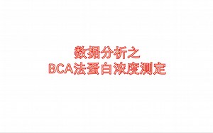 1分钟学会BCA法蛋白定量