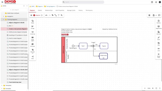 2024-05_So modellierst du ein Diagramm in iGrafx_SvD