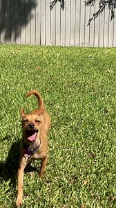 Worked hard all your life, but now facing health problems? Are you missing out on benefits you're entitled to? If you can't work because of serious medical problems, you may be eligible to get up to $3,345 a month in benefits. Get Back to Life! It's time to claim what you've earned. Learn more to see how disability benefits could change your story. | Heard & Smith Disability Lawyers