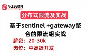 分布式限流及实战：基于sentinel  gateway整合的限流组实战