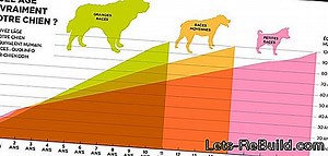 Calculer Le Poids Du Granit » Formules En Un Coup D'Œil - 2026 | Matériaux de construction