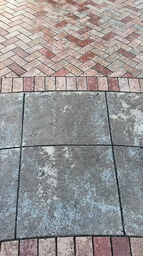 23K views · 729 reactions | I’m so excited the Christmas tree went up overnight at Disneyland! I can’t wait to see it lit up on Friday! #Disneyland #DisneyParks #DisneylandChristmas #ChristmastimeAtDisneyland #DisneylandResort | The Disney Scoop Guy | Facebook