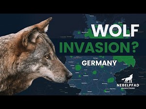 From One to Thousands: Wolves Reclaim Germany (Animated Map 2000–2024)