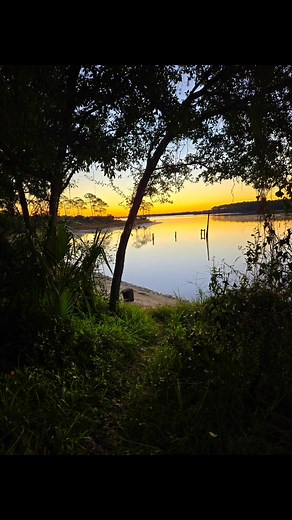 Misty morning with heavenly Light | Gleanings of Grace