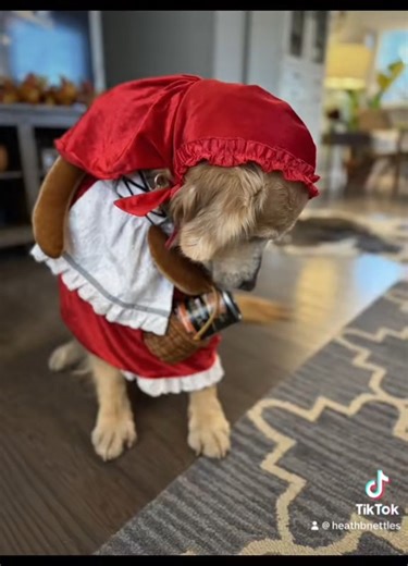 21 reactions · 5 comments | Yes! You CAN recycle your metal pet food...