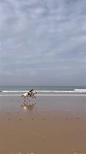 Exploring Agadir's Stunning Beaches and Bay