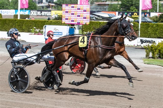 Lørdagskveld med internasjonal V65-omgang i Harstad
