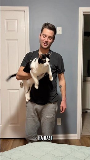 The bear has landed! Goodnight wonky tribe! #charliebear #wobblycat #goodnight