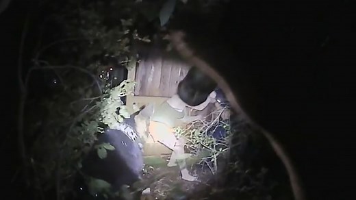 Video shows police dog bite unarmed Texas woman for 62 seconds