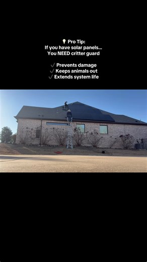 Protect your solar investment the right way ☀️ Critter guard keeps animals out and prevents costly damage 🔧 📲 DM us to schedule 407-807-2920 #solar #solarpanels #solarinstallers #fyp #businessowner