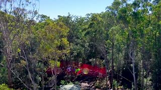 28K views · 283 reactions | TreeTop NetWorld is officially open!...