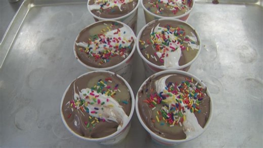 New 'Elsie's Pint' ice cream to support pediatric hospice home
