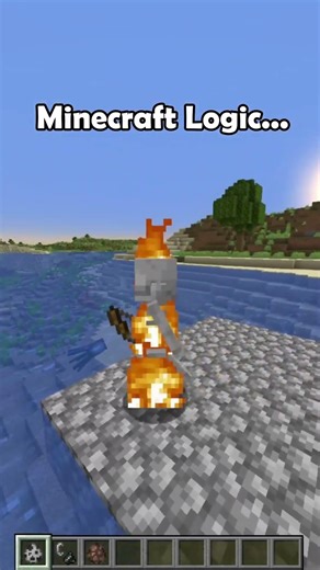 Minecraft Logic.. ☠️💀#shorts #minecraft