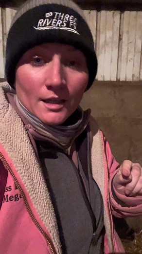 Caring for Newborn Calves | Farm Morning Routine