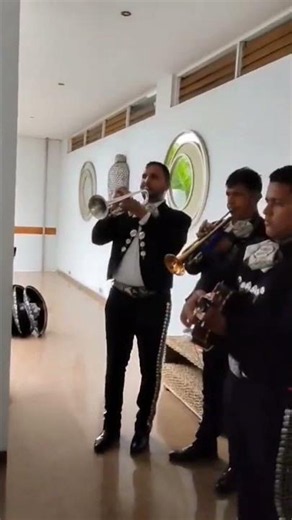El mejor Mariachis de Cúcuta | Serenatas en los Patios | Cumpleaños | Matrimonio | Aniversarios