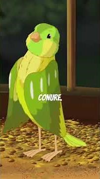 Sun Conure vs Green-Cheek Conure: Which Is the Better Pet?