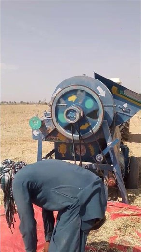 Sarson Thresher Start Ho Gaya 🌼🚜 | Mustard Harvest Machine #villagelife #farming
