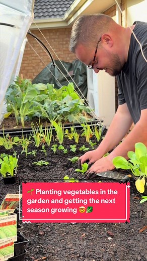 Planting Vegetables: Start Your Next Season Garden