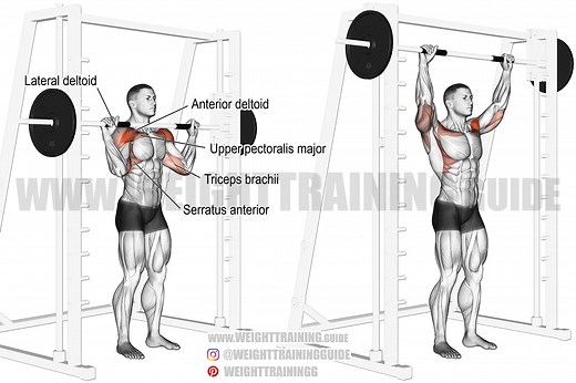 Smith machine shoulder press exercise instructions and video