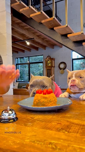 4.8M views · 82K reactions | Bolo de Carne com Creme de Cenoura 朗 | Maori Blue | Facebook