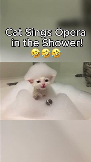 Cat Sings Opera in the Shower!😂😂