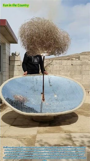 El arte de la energía solar: encender hierba seca con Sunpower