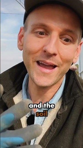 How to Fertilize Garlic 🧄 || Wyse Guide