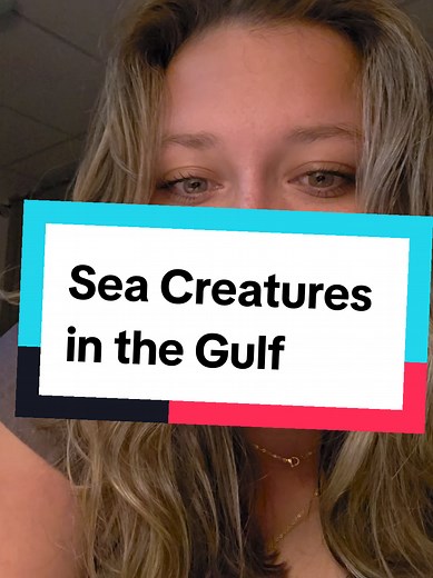 Gulf of Mexico Beach Guide: Respect Sea Creatures