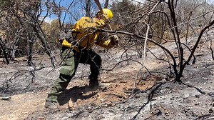 #ForkFire Evening Update: There was increased fire activity within the upper northwest area of the fire perimeter today. Firefighters supported by helicopters kept the fire from crossing the fireline. Fire Incident Commander Trainee Joel Gonzalez stated, “With great support from ground and air resources, firefighters were able to hold the fire to 330 acres within steep rugged terrain.” For current wildfire information follow Angeles National Forest on InciWeb: https://bit.ly/3Yj4WVk USDA Forest 
