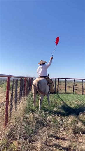 6K views · 1.3K reactions | A little behind the scenes from meeting the colts! #roadtothehorse #pitchforkranch | Road to the Horse | Facebook
