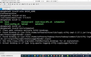 13.hive配置与启动异常处理