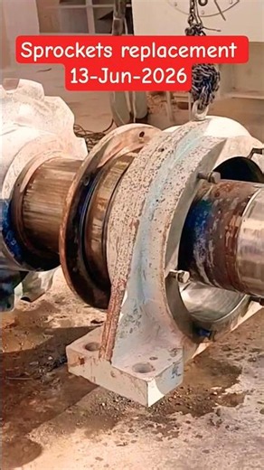 Sprockets NEED Replacement and Bearing Cleaning Checks Done